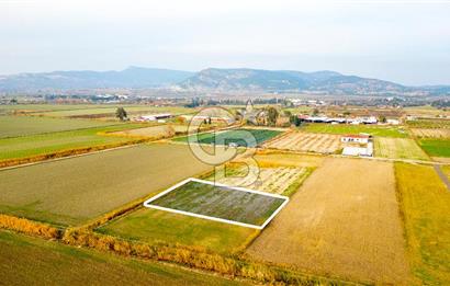 Foça Gerenköy'de Satılık 1.171 m2 Hisseli Tarla