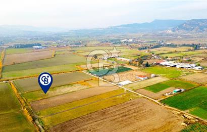 Foça Gerenköy'de Satılık 1.171 m2 Hisseli Tarla