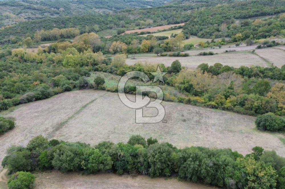 LAPSEKİ GÜRECİ KÖYÜ SATILIK 9 DÖNÜM ARAZİ