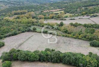 LAPSEKİ GÜRECİ KÖYÜ SATILIK 9 DÖNÜM ARAZİ - 9 - 311782