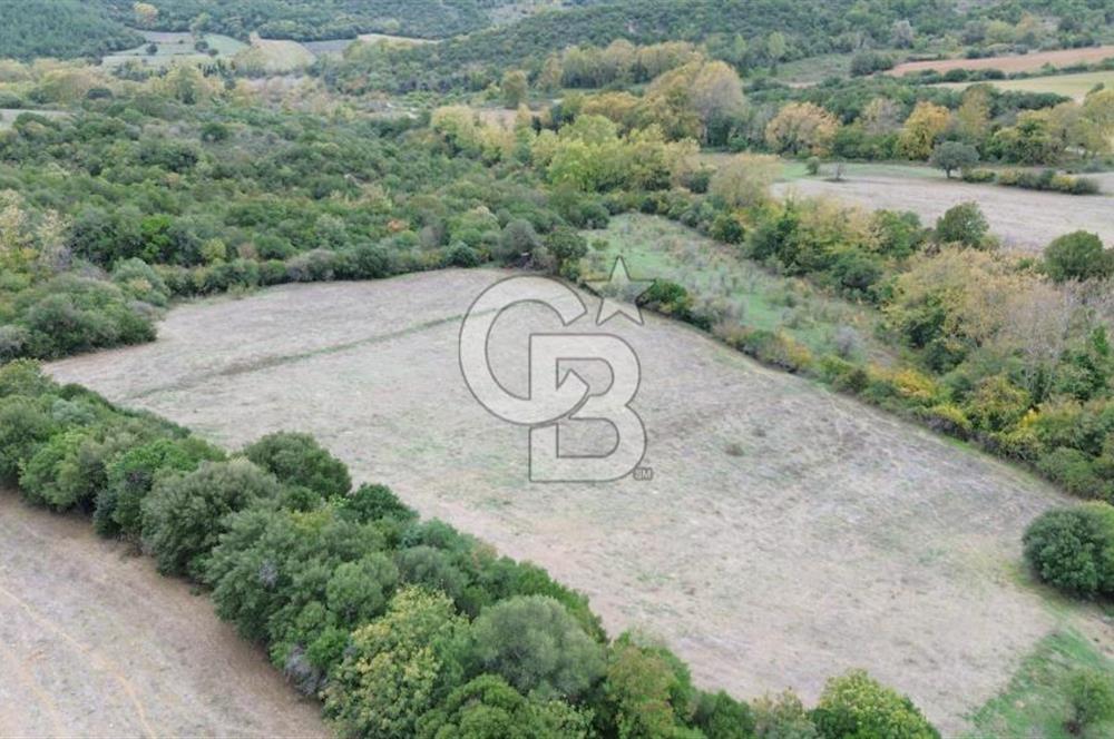 LAPSEKİ GÜRECİ KÖYÜ SATILIK 9 DÖNÜM ARAZİ