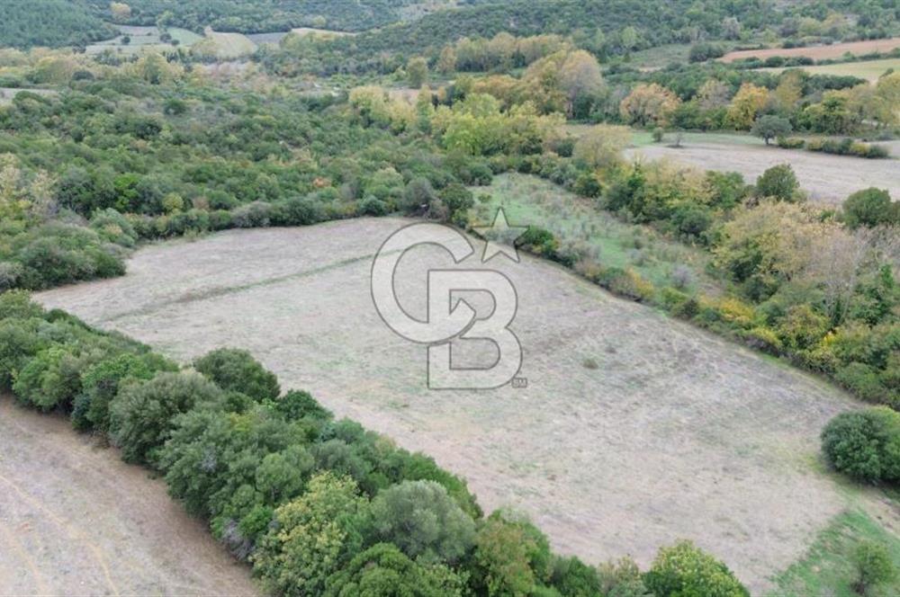 LAPSEKİ GÜRECİ KÖYÜ SATILIK 9 DÖNÜM ARAZİ