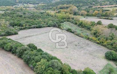 LAPSEKİ GÜRECİ KÖYÜ SATILIK 9 DÖNÜM ARAZİ