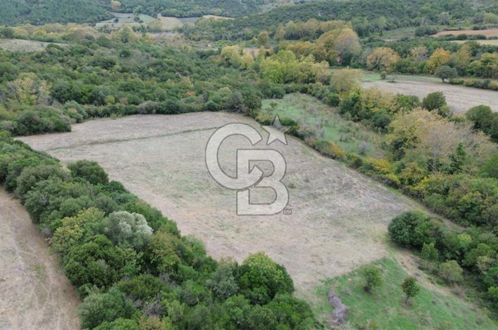 LAPSEKİ GÜRECİ KÖYÜ SATILIK 9 DÖNÜM ARAZİ