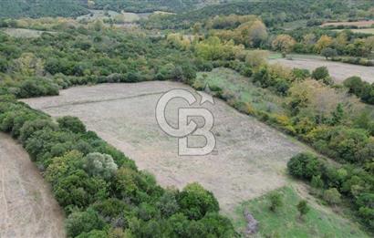 LAPSEKİ GÜRECİ KÖYÜ SATILIK 9 DÖNÜM ARAZİ