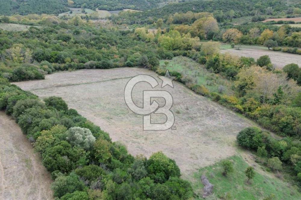 LAPSEKİ GÜRECİ KÖYÜ SATILIK 9 DÖNÜM ARAZİ