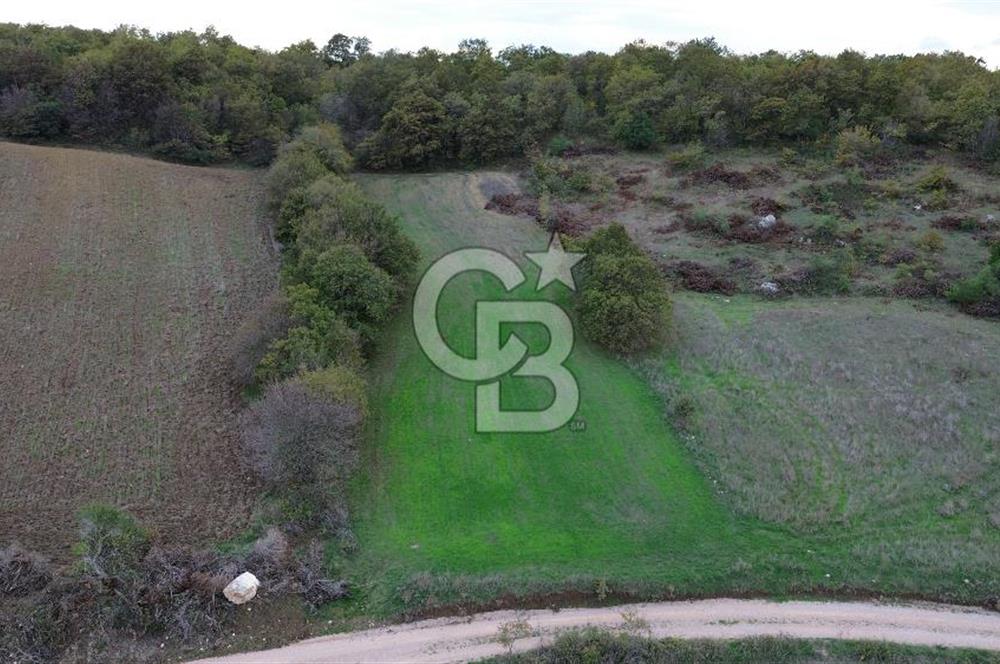 ÇANAKKALE BİGA GEMİCİKIRI KÖYÜNDE MÜKEMMEL KONUMDA SATILIK TARLA
