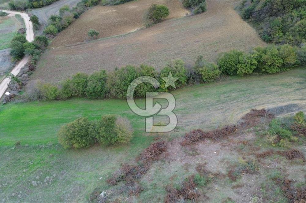 ÇANAKKALE BİGA GEMİCİKIRI KÖYÜNDE MÜKEMMEL KONUMDA SATILIK TARLA