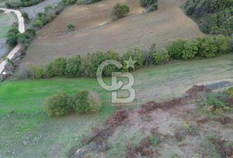 ÇANAKKALE BİGA GEMİCİKIRI KÖYÜNDE MÜKEMMEL KONUMDA SATILIK TARLA