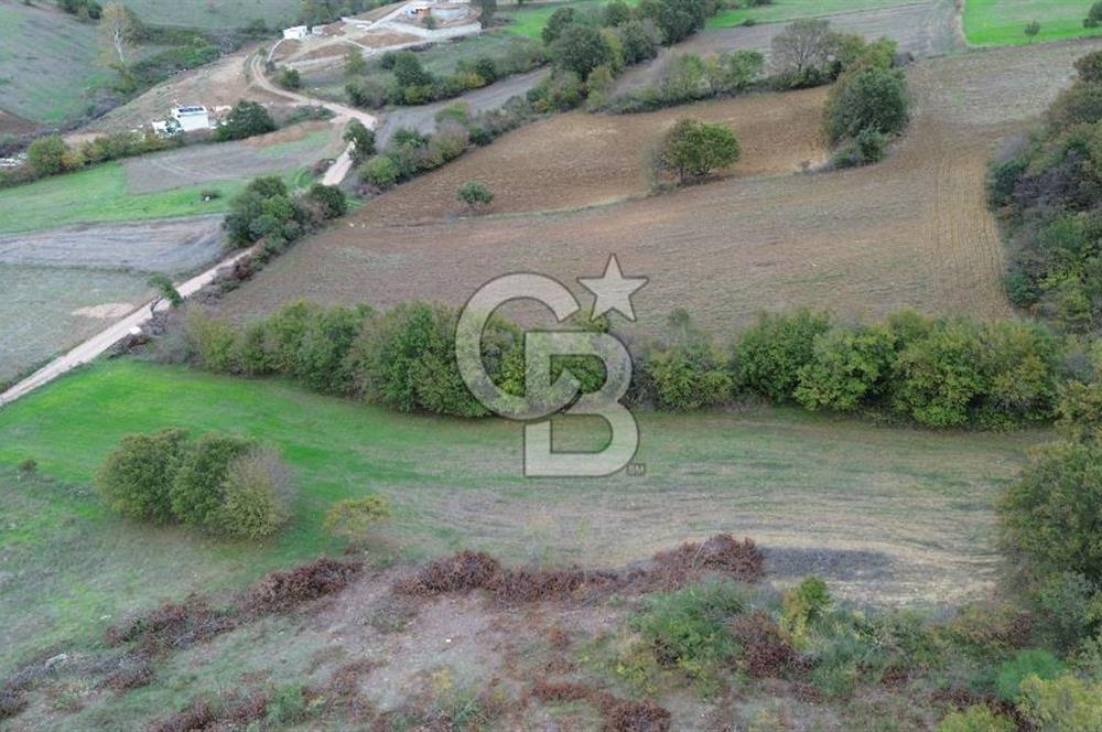 ÇANAKKALE BİGA GEMİCİKIRI KÖYÜNDE MÜKEMMEL KONUMDA SATILIK TARLA