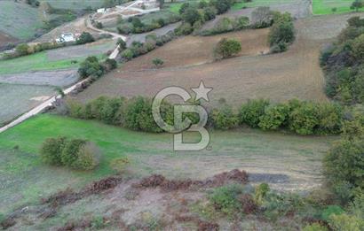 ÇANAKKALE BİGA GEMİCİKIRI KÖYÜNDE MÜKEMMEL KONUMDA SATILIK TARLA