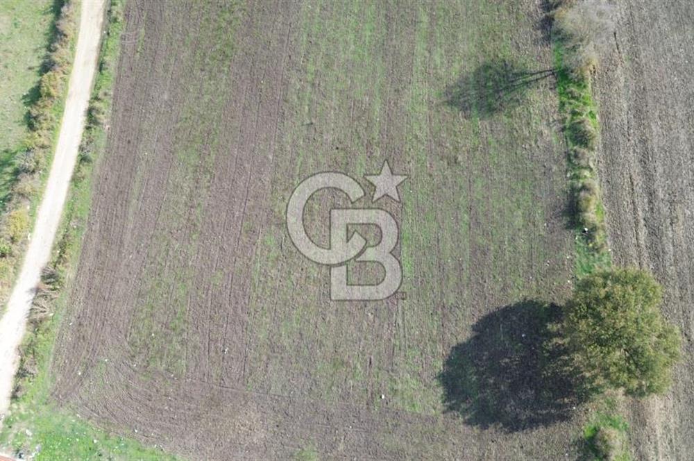 ÇANAKKALE BİGA HACIPEHLİVAN KÖYÜ SATILIK 1240 M2 İMARLI ARSA