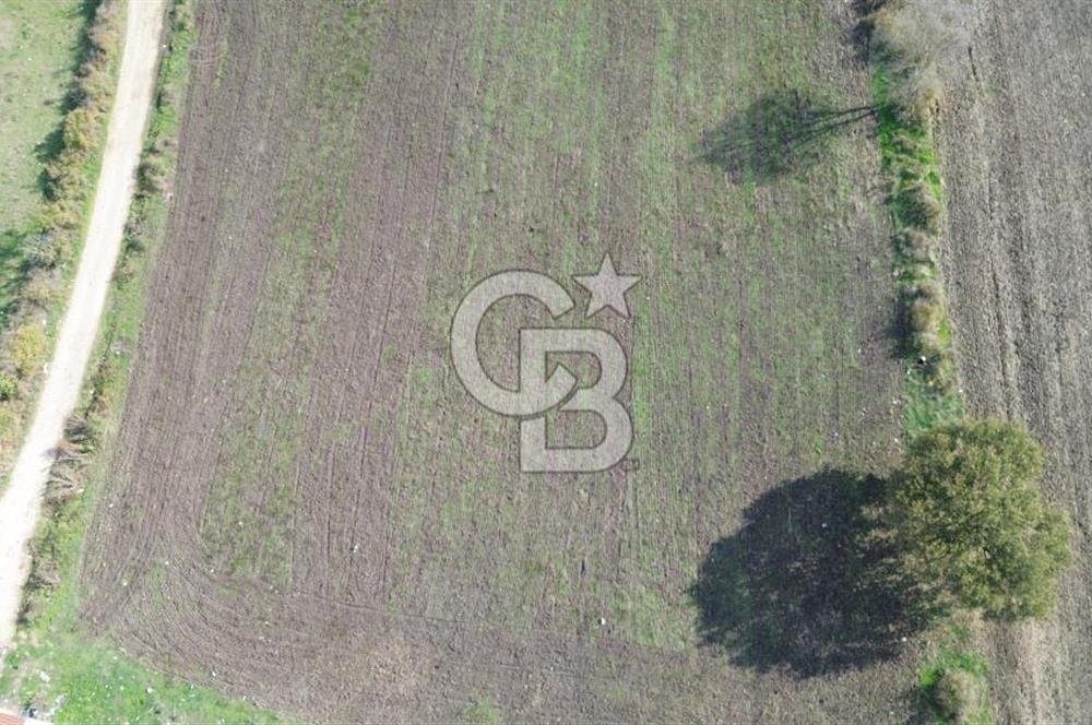 ÇANAKKALE BİGA HACIPEHLİVAN KÖYÜ SATILIK 1240 M2 İMARLI ARSA