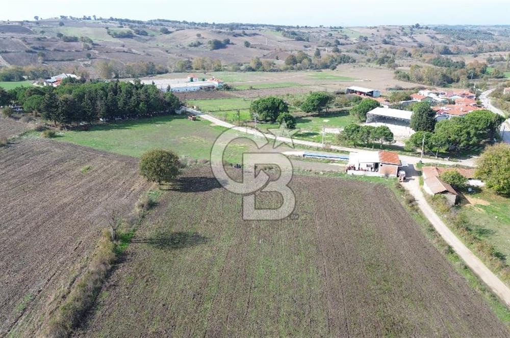 ÇANAKKALE BİGA HACIPEHLİVAN KÖYÜ SATILIK 1240 M2 İMARLI ARSA
