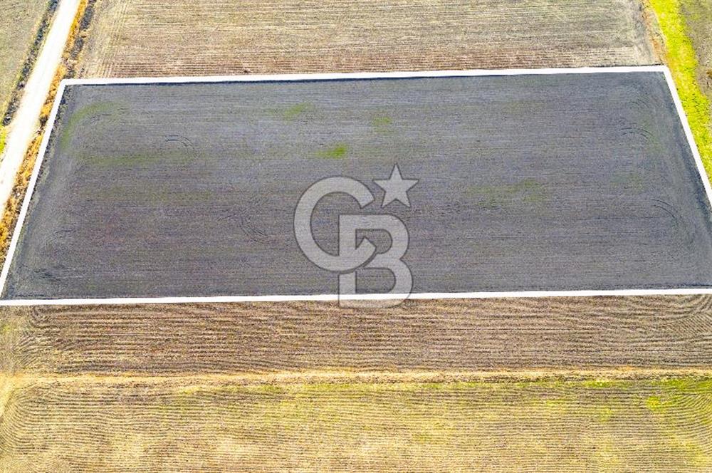 Foça Gerenköy'de Satılık 4.731 m2 Hisseli Tarla