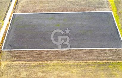 Foça Gerenköy'de Satılık 4.731 m2 Hisseli Tarla