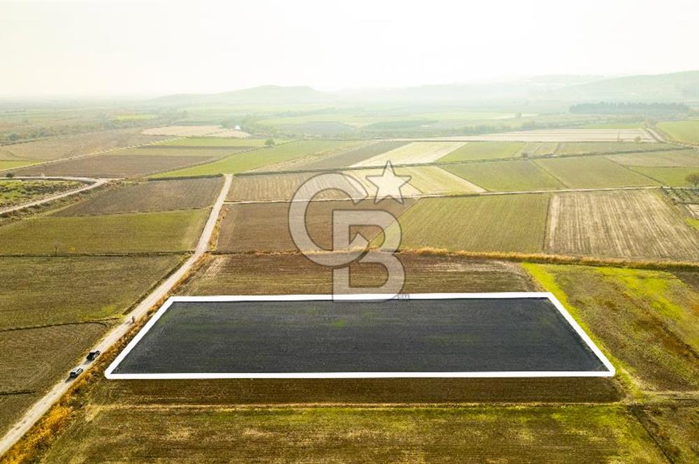 Foça Gerenköy'de Satılık 4.731 m2 Hisseli Tarla