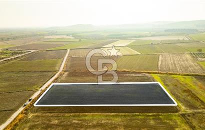 Foça Gerenköy'de Satılık 4.731 m2 Hisseli Tarla