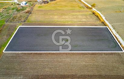 Foça Gerenköy'de Satılık 4.731 m2 Hisseli Tarla