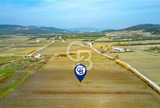 Foça Gerenköy'de Satılık 4.731 m2 Hisseli Tarla - 6 - 311785