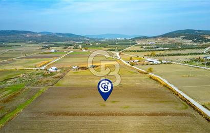 Foça Gerenköy'de Satılık 4.731 m2 Hisseli Tarla