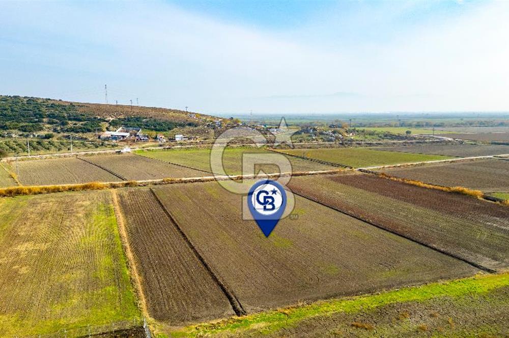 Foça Gerenköy'de Satılık 4.731 m2 Hisseli Tarla