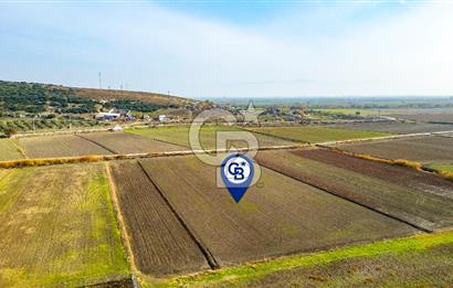 Foça Gerenköy'de Satılık 4.731 m2 Hisseli Tarla