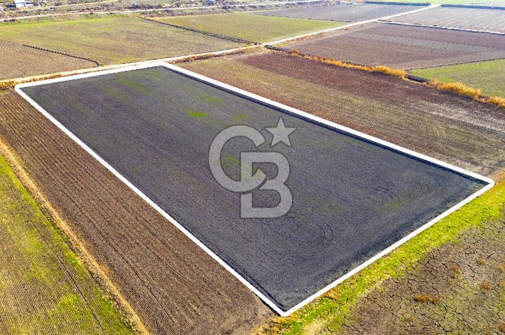 Foça Gerenköy'de Satılık 4.731 m2 Hisseli Tarla