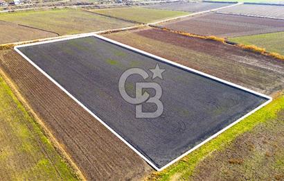 Foça Gerenköy'de Satılık 4.731 m2 Hisseli Tarla