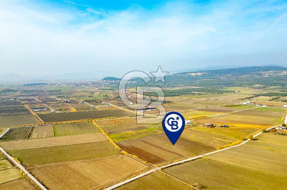 Foça Gerenköy'de Satılık 4.731 m2 Hisseli Tarla