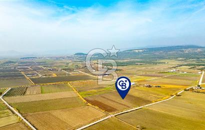 Foça Gerenköy'de Satılık 4.731 m2 Hisseli Tarla