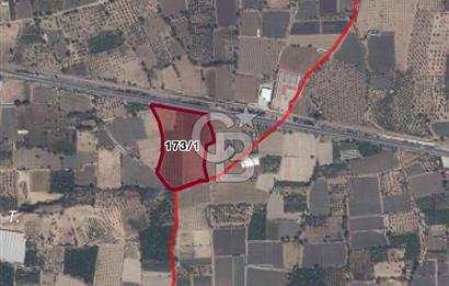 EN DEĞERLİ YATIRIM ARACI - ATÇA YAĞDERE'DE SATILIK TARLA 