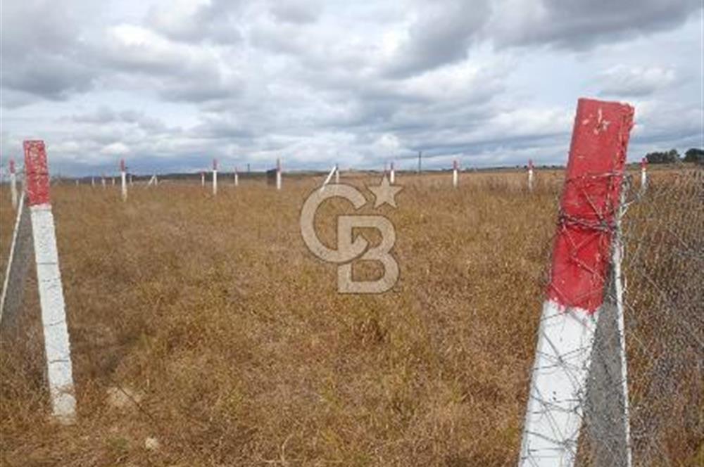 Kırklareli Vize kelepir parsel 