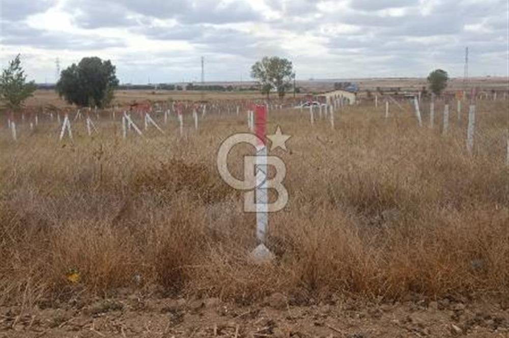 Kırklareli Vize kelepir parsel 