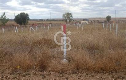 Kırklareli Vize kelepir parsel 