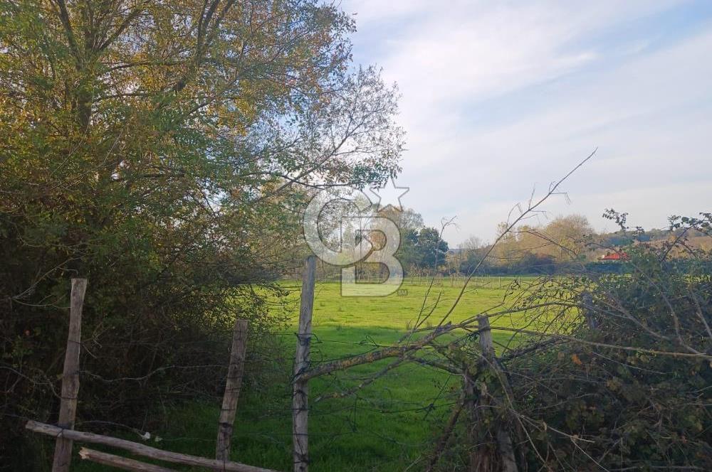 Kandıra karaağaç köyünde yatırım fırsatı