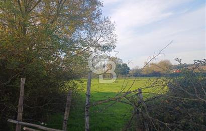 Kandıra karaağaç köyünde yatırım fırsatı