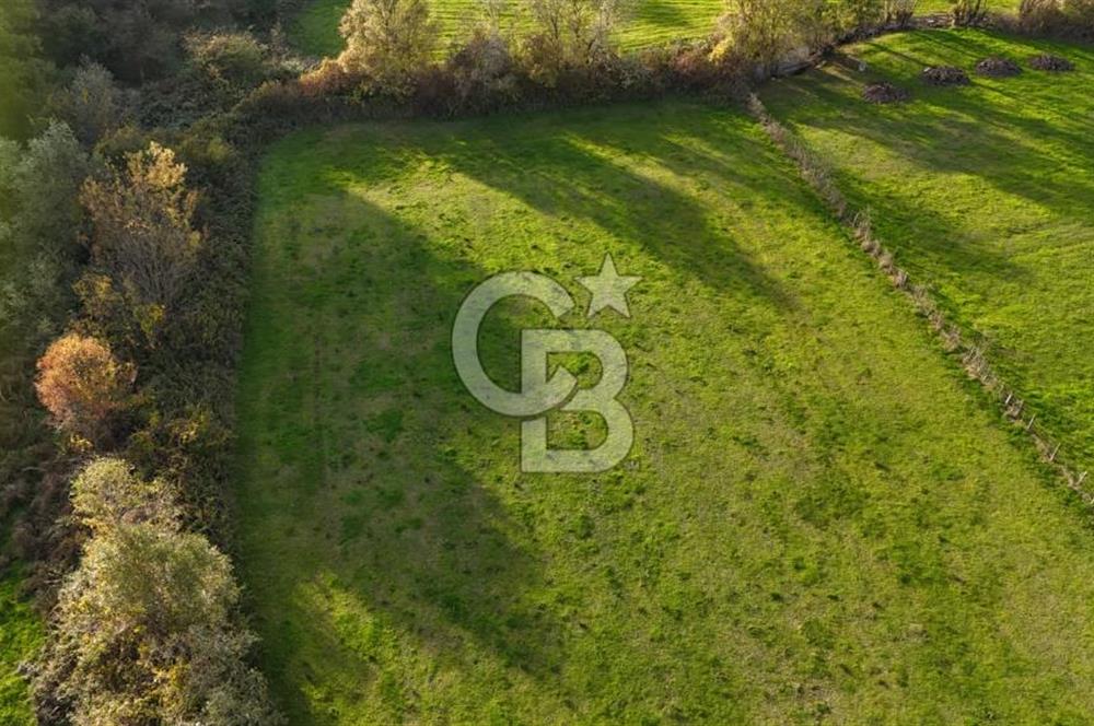 Kandıra karaağaç köyünde yatırım fırsatı