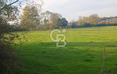 Kandıra karaağaç köyünde yatırım fırsatı