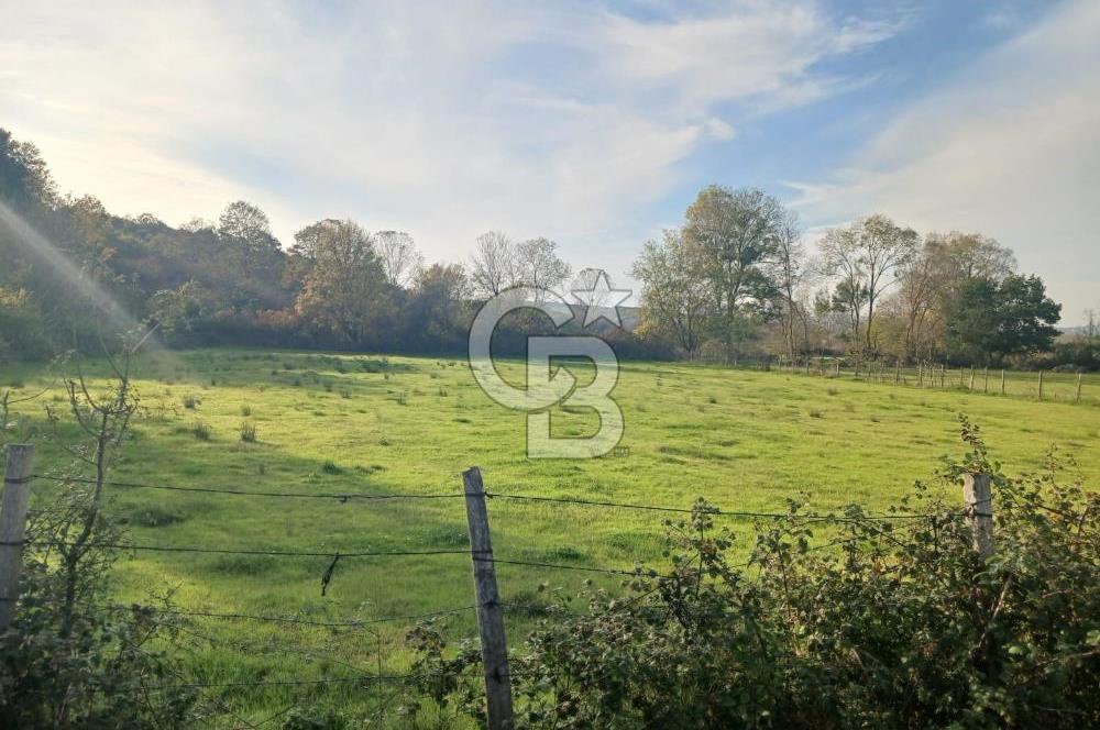 Kandıra karaağaç köyünde yatırım fırsatı