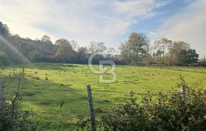 Kandıra karaağaç köyünde yatırım fırsatı