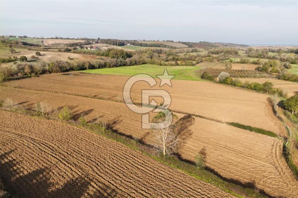 Kandıra karaağaç köyünde yatırım fırsatı