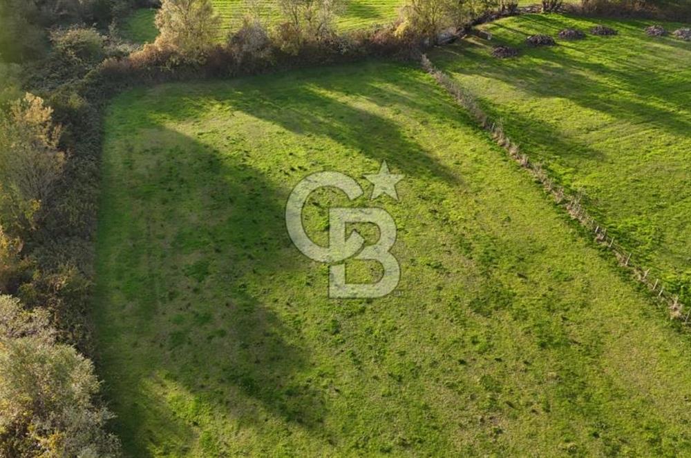 Kandıra karaağaç köyünde yatırım fırsatı