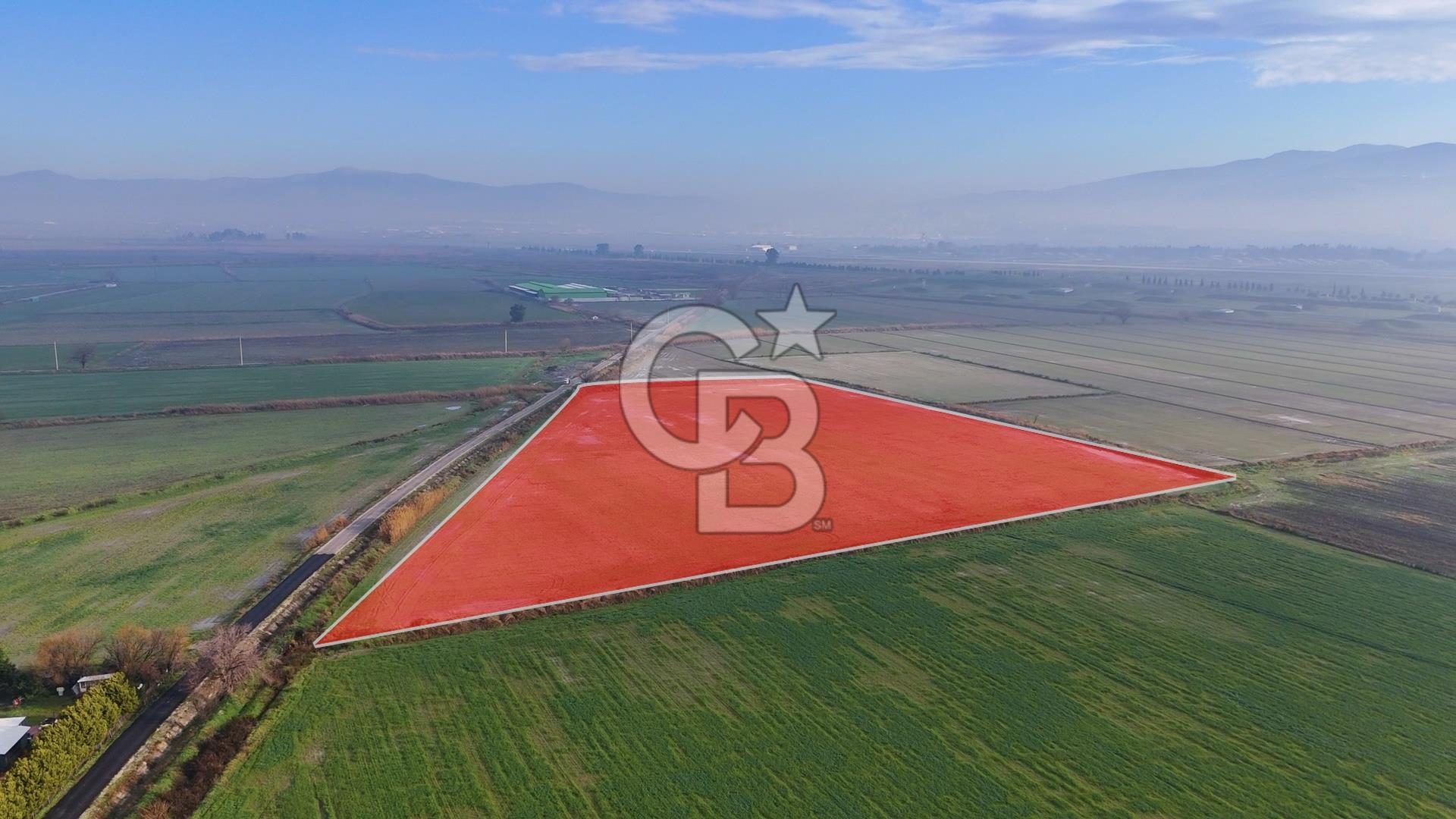 Çiğli Kaklıçta 37.500 m2 satılık tarla