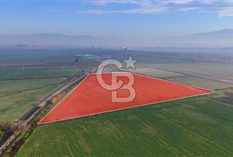 Çiğli Kaklıçta 37.500 m2 satılık tarla