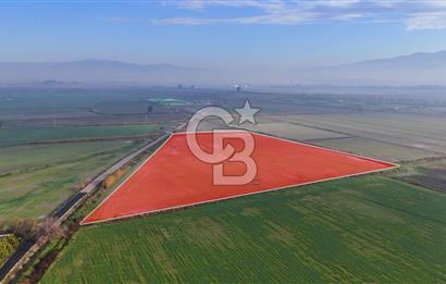Çiğli Kaklıçta 37.500 m2 satılık tarla