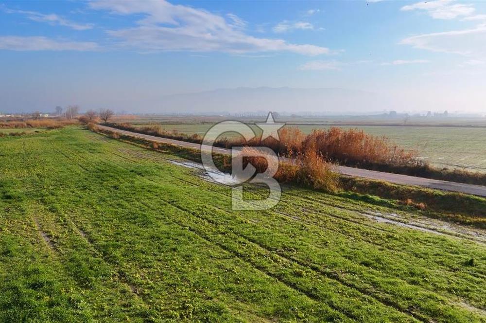 Çiğli Kaklıçta Satılık 13.800 m2 Tarla