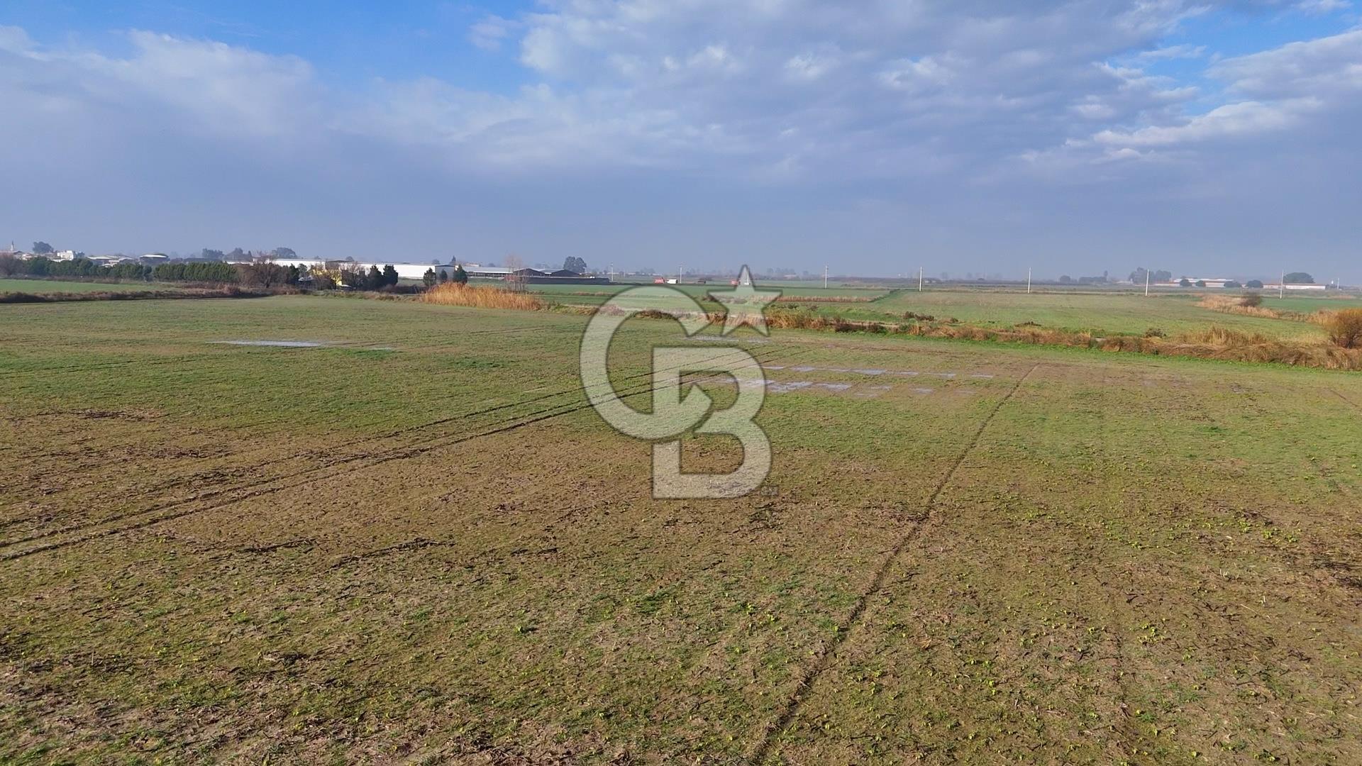 Çiğli Kaklıçta Satılık 13.800 m2 Tarla