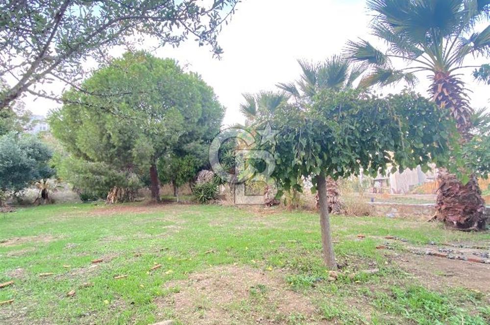 Bodrum Peksimet Ormancılar Sitesi Geniş Bahçeli 1+1 Kiralık