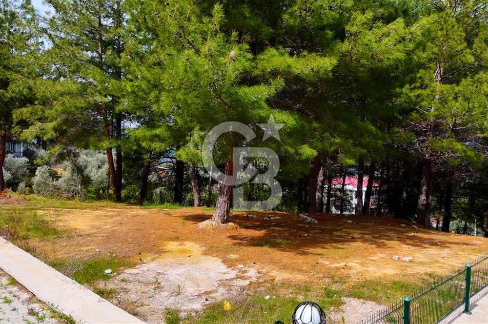 Kemalpaşa Aşağıkızılca da Villa İmarlı Arsa